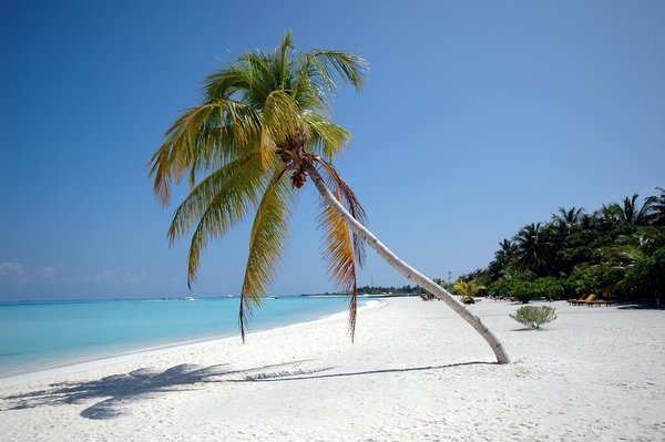 Les pass incontournables pour explorer athènes en 2025