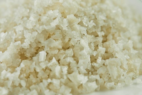 Quelle croisière propose des ateliers sur la culture du sel en Camargue?